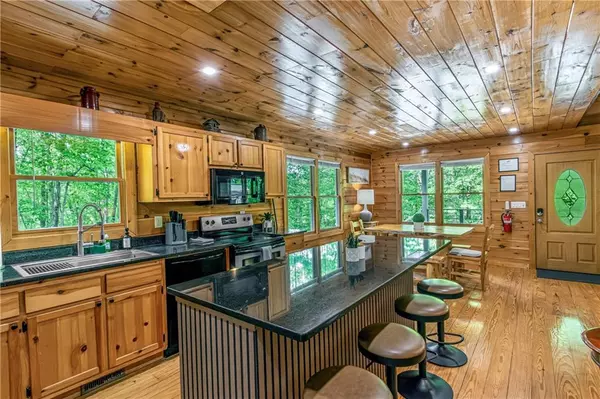 Blue Ridge, GA 30513,48 Timber Ridge RD