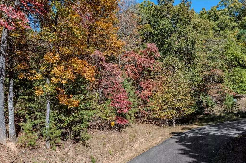 Morganton, GA 30560,Lot 22 Meadow Brook TRL