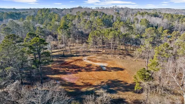 Alpharetta, GA 30004,113 Hickory Flat RD