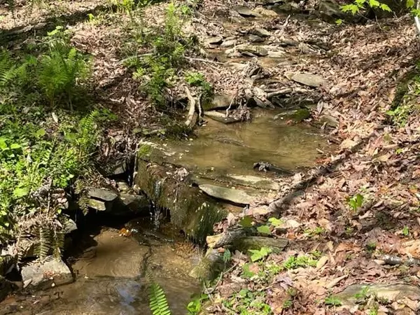 Talking Rock, GA 30175,003 Swan Bridge Road