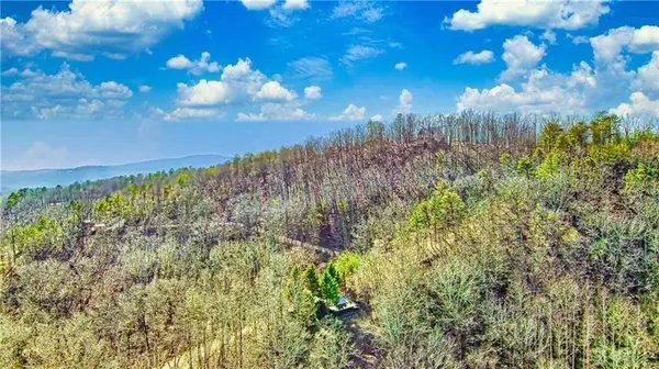 Ranger, GA 30734,875 Trinton DR