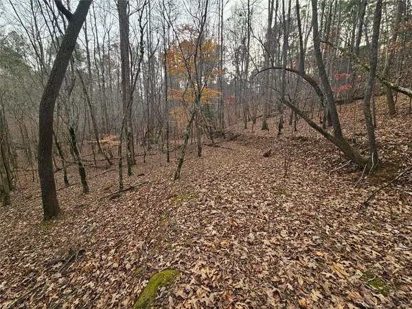 Ellijay, GA 30540,0 Garnet DR