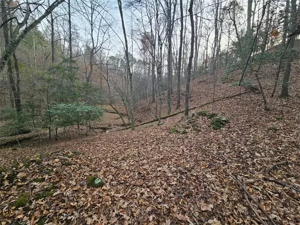 Ellijay, GA 30540,0 Garnet DR