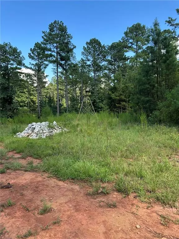 Madison, GA 30650,00 Fears RD