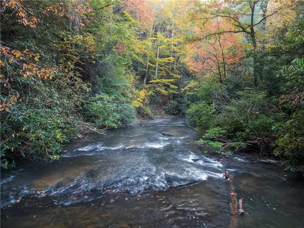 Cherry Log, GA 30522,27 Riverview Lane