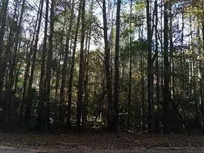 Lithonia, GA 30038,3627 Springtree DR