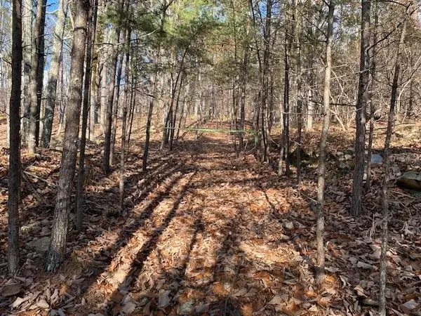 Jasper, GA 30143,0 Quail WAY