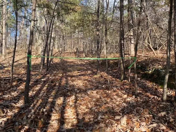 Jasper, GA 30143,0 Quail WAY