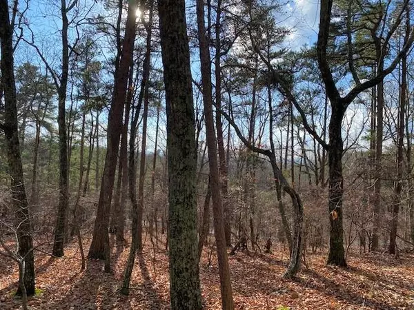 Jasper, GA 30143,0 Quail WAY