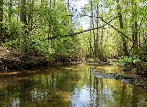 Talking Rock, GA 30175,2468 Twisted Oak Road