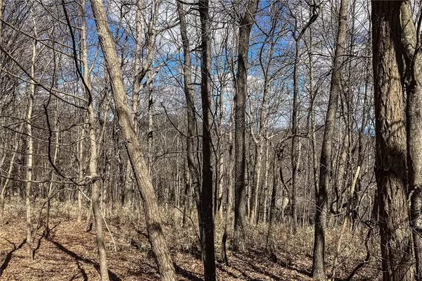 Big Canoe, GA 30143,8088 Ridgeview DR