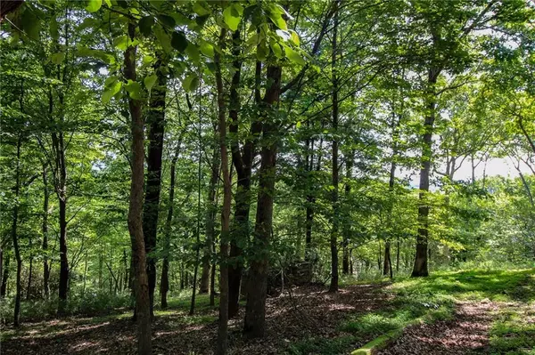 Big Canoe, GA 30143,8088 Ridgeview DR