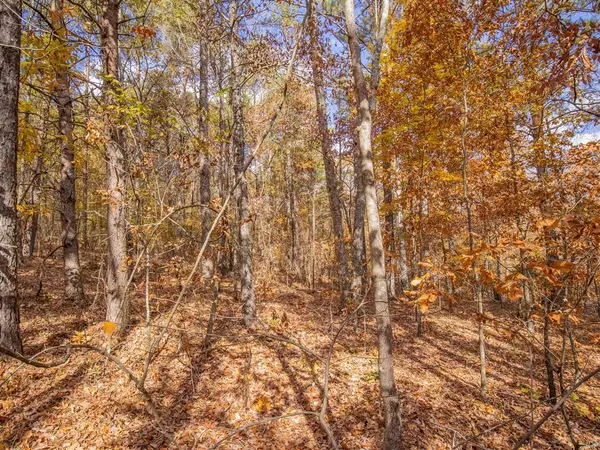 Kingston, GA 30145,0 Galway DR