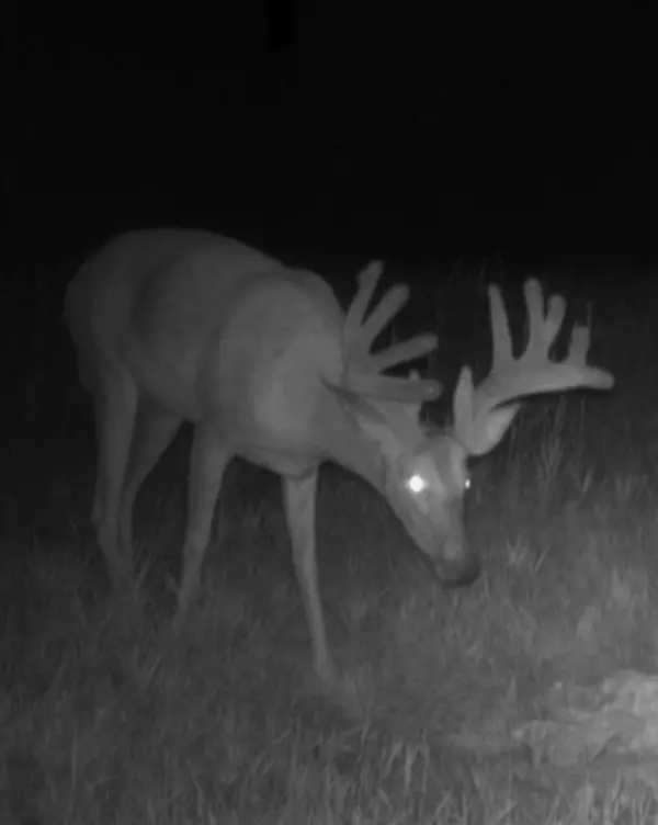 Comer, GA 30629,0 GA Hwy 72