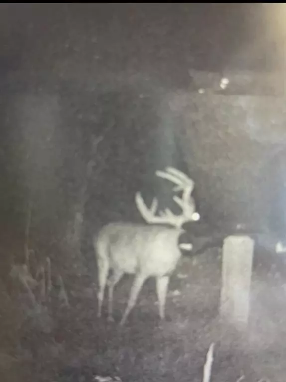 Comer, GA 30629,0 GA Hwy 72