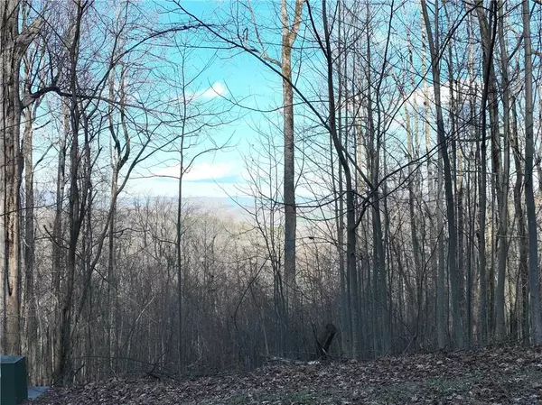 Ellijay, GA 30536,281 Andes RDG