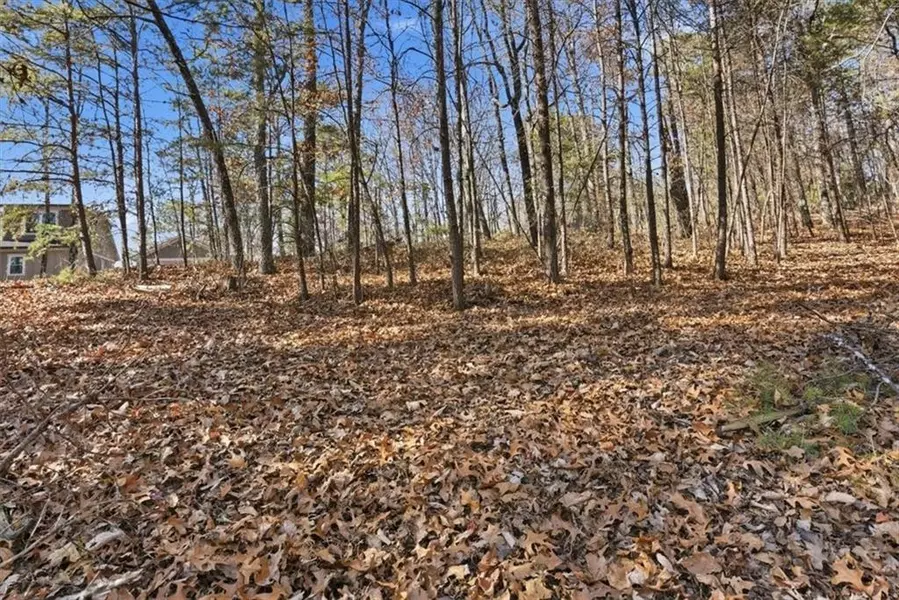 1166 Hunter DR, Ranger, GA 30734