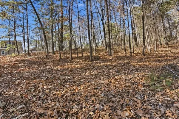 1166 Hunter DR, Ranger, GA 30734