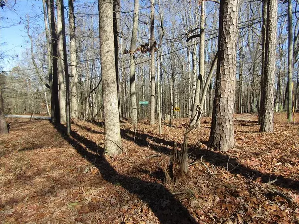 Dacula, GA 30019,0000 Fence RD