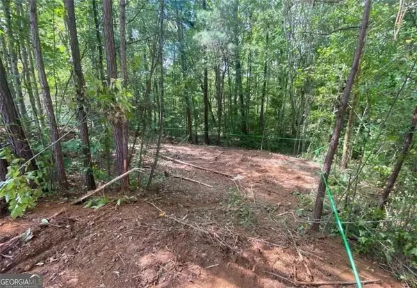 Dallas, GA 30132,248 Pioneer Trail