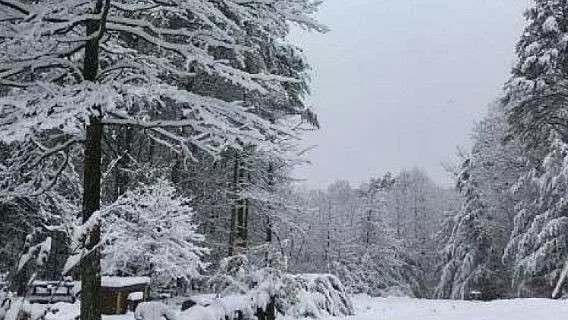 Jasper, GA 30143,0 South Maple DR