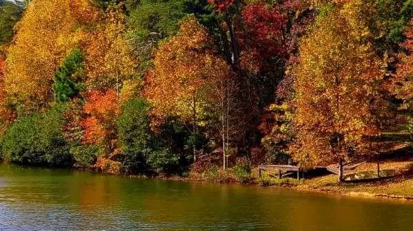 Jasper, GA 30143,0 South Maple DR