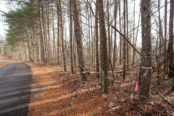 Jasper, GA 30143,1 Amber CT