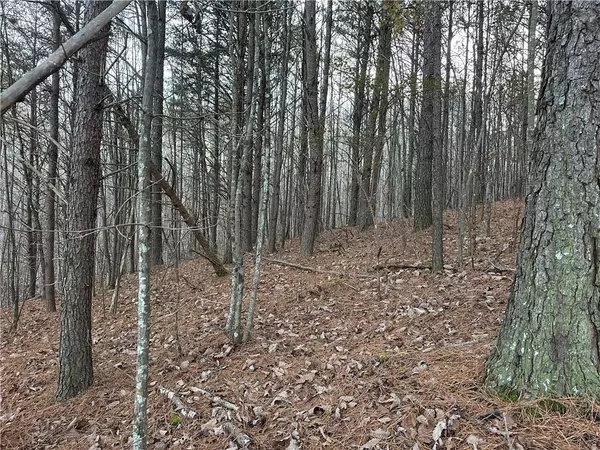 Waleska, GA 30183,810 Bagwell TRL