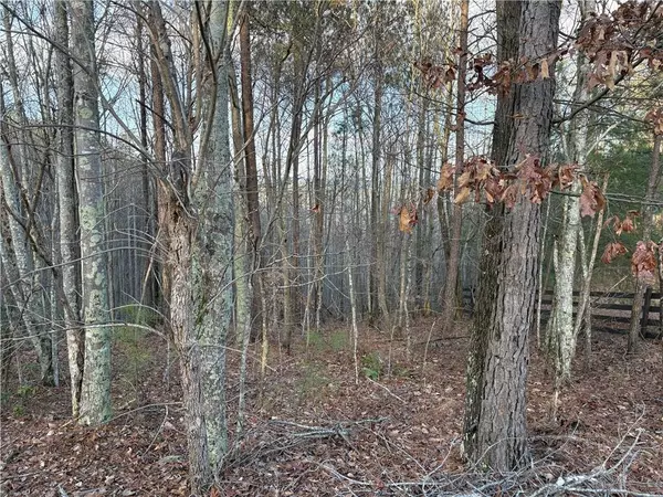 Waleska, GA 30183,810 Bagwell TRL