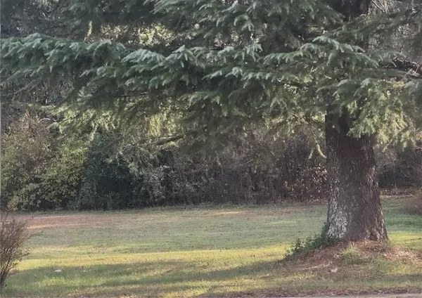 146 Hampton ST, Mcdonough, GA 30253