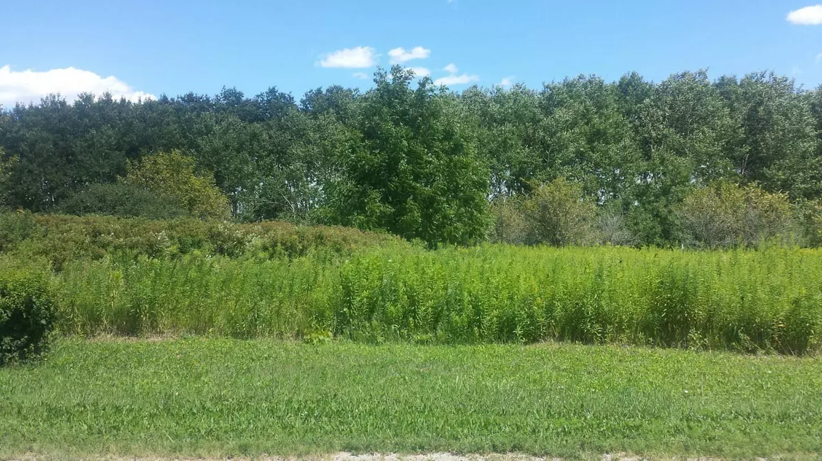 Hustisford, WI 53039,LT3 Sinissippi Point Rd