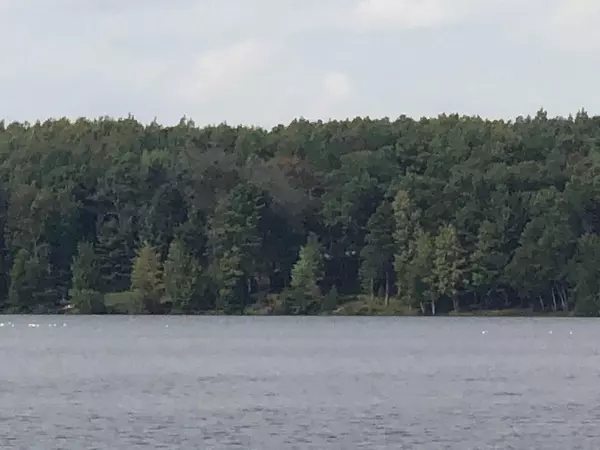 Abrams, WI 54153,Lt3 Wayfaring Ln