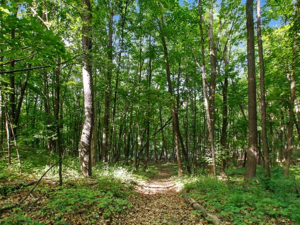 Lot 34 Oak Ridge Ct, Lafayette, WI 53121