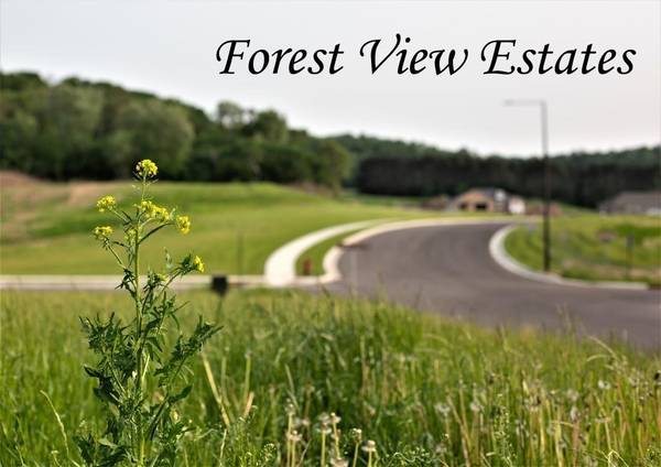 611 Forest View Dr, Holmen, WI 54636