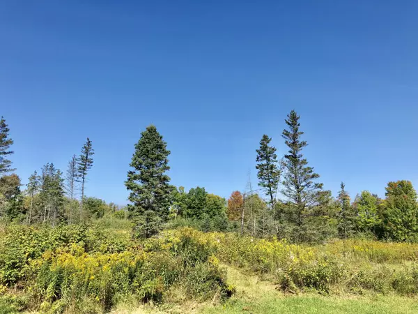 6.25 Acres Bigwoods Ln,  Beecher,  WI 54156