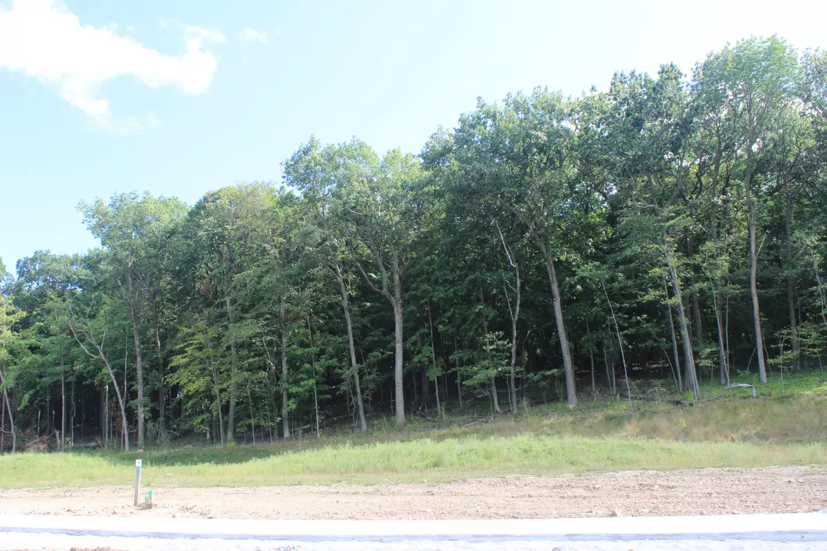 Sussex, WI 53089,Lot #5 Ancient Oaks of Sussex