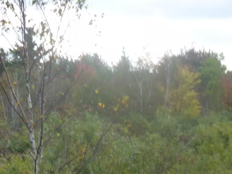 Lt0 Hwy E, Abrams, WI 54101