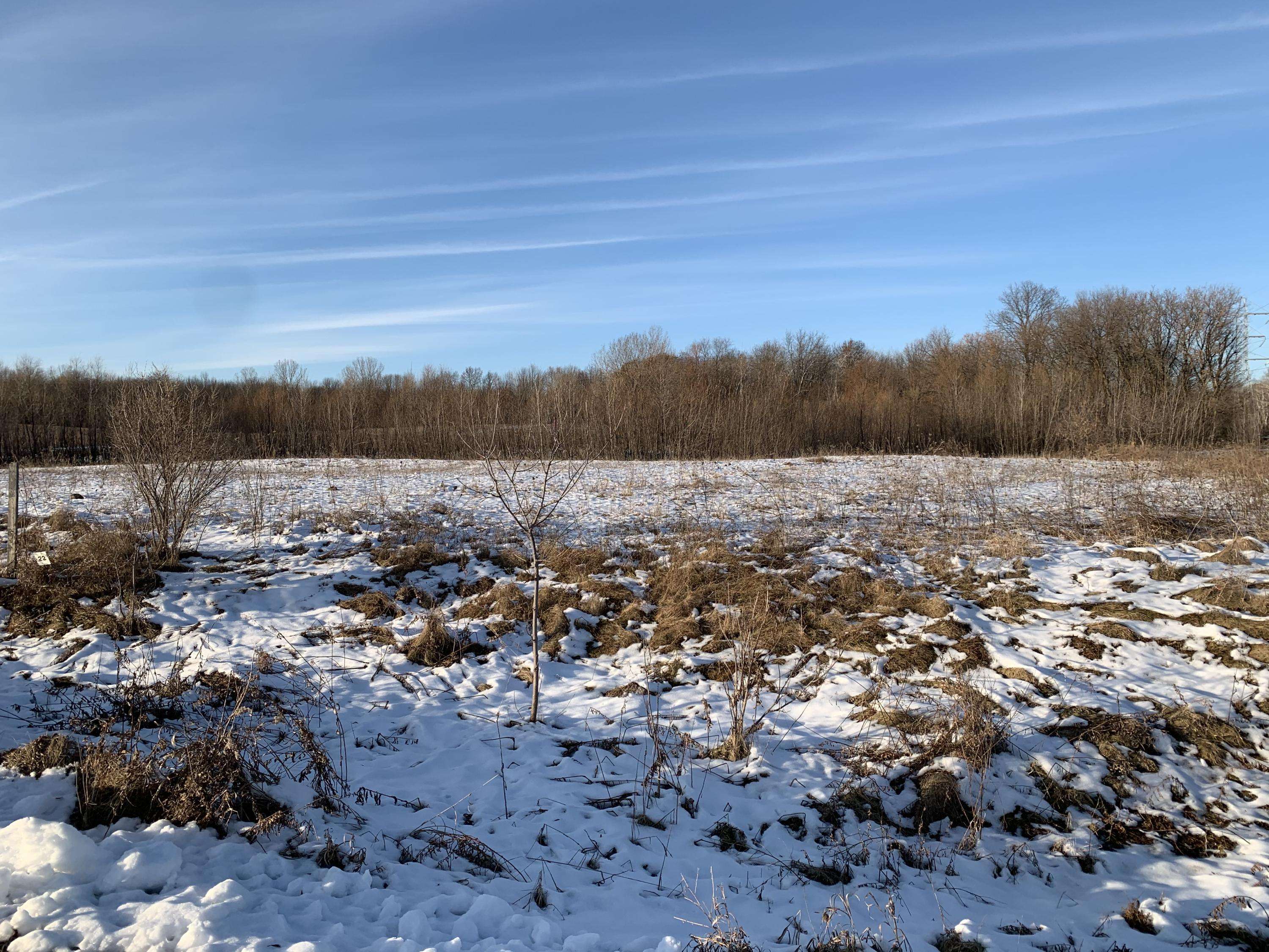 Waldo, WI 53093,816 Pheasant Run Unit Lt22