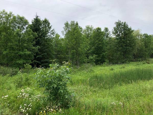 Land Hwy CR, Newton, WI 54220