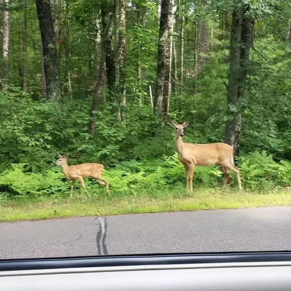 Lt24 Richard Dr, Arbor Vitae, WI 54568