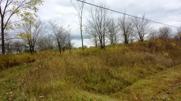 Manitowoc, WI 54220,Lt98 N 18th St