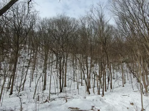 Prairie Du Chien, WI 53821,Lot 1 Adamany Dr