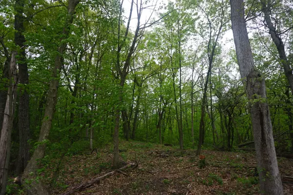 Lt2 7th St, Brighton, WI 53105