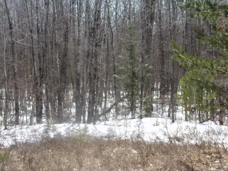 12131 N Branch Rd, Breed, WI 54174