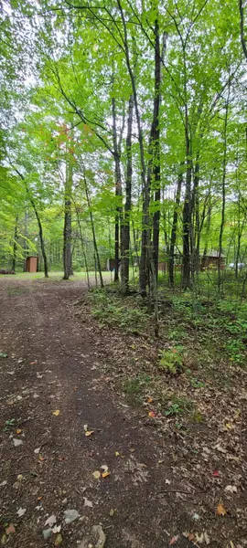 N11460 Nelson Rd, Athelstane, WI 54177