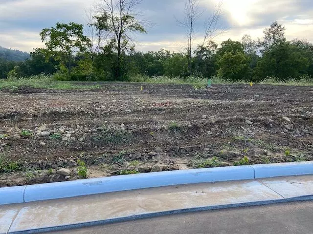 Onalaska, WI 54650,Lot 46 Madison Heights Dr