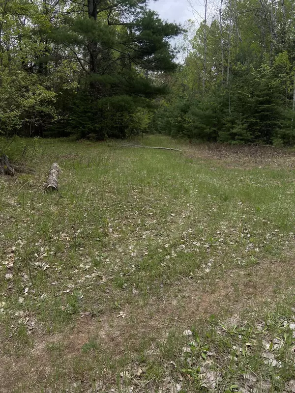 Amberg, WI 54102,Lt0 Barker Rd