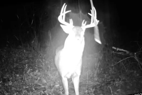 Belvidere, WI 54622,S2318 County Hwy 35 -