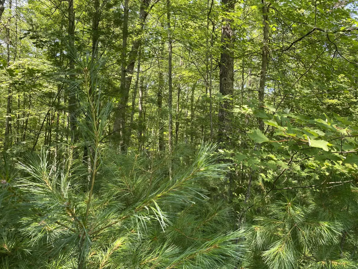 Stephenson, WI 54114,Lt26 Sandstone Ln