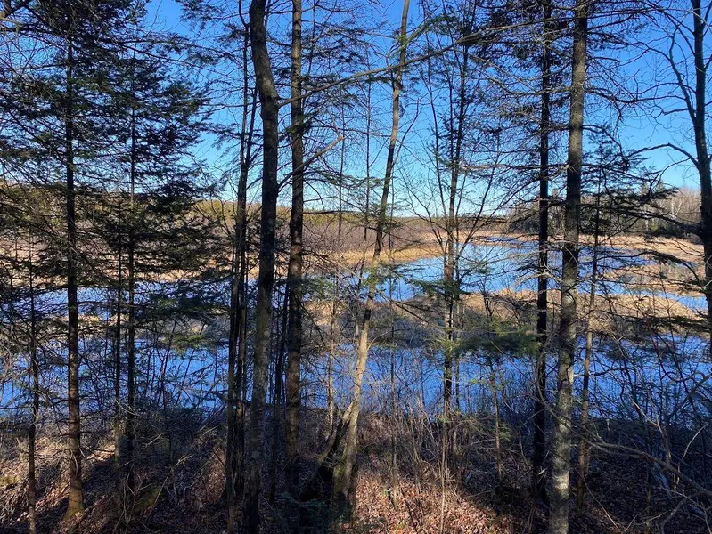 1022 Peshtigo River Rd, Blackwell, WI 54541